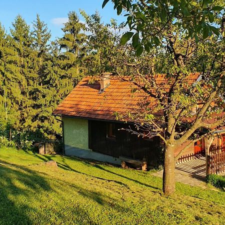 Hiska Ob Gozdu Villa Polzela Exterior photo