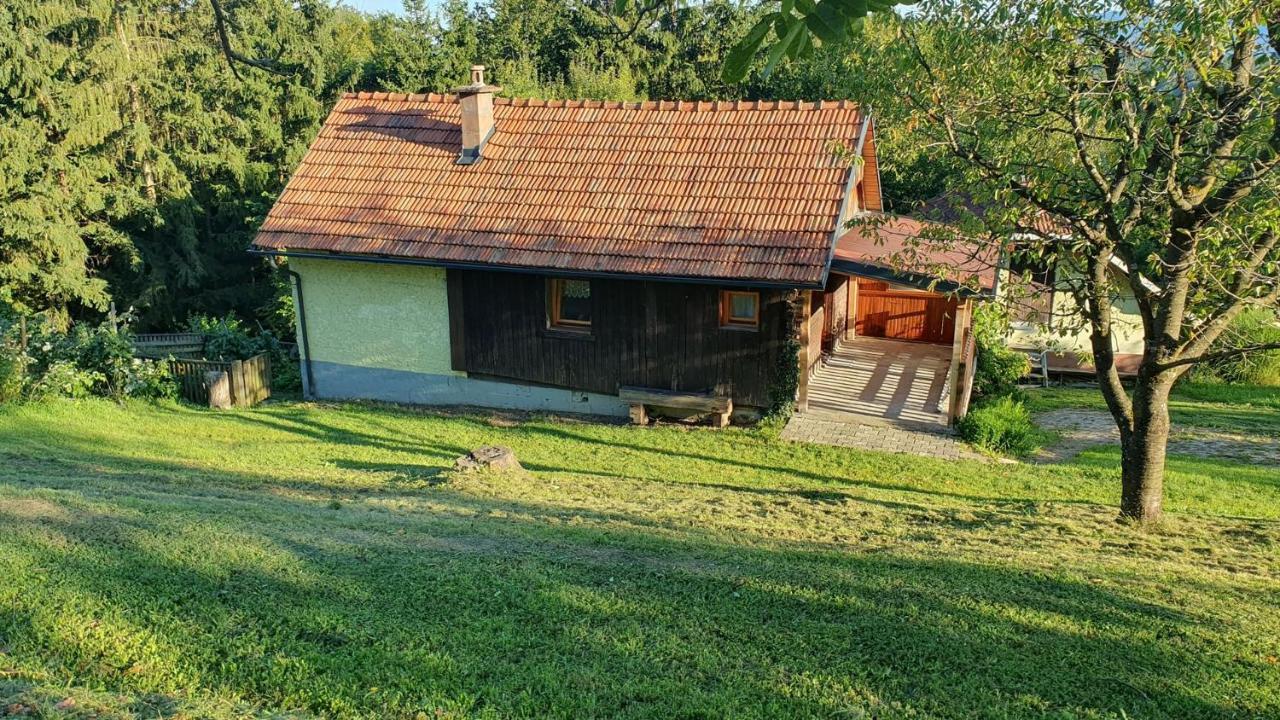 Hiska Ob Gozdu Villa Polzela Exterior photo